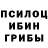 Псилоцибиновые грибы мухоморы Nodira Abduazimova