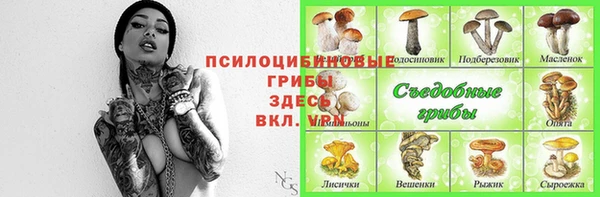 стафф Алексин