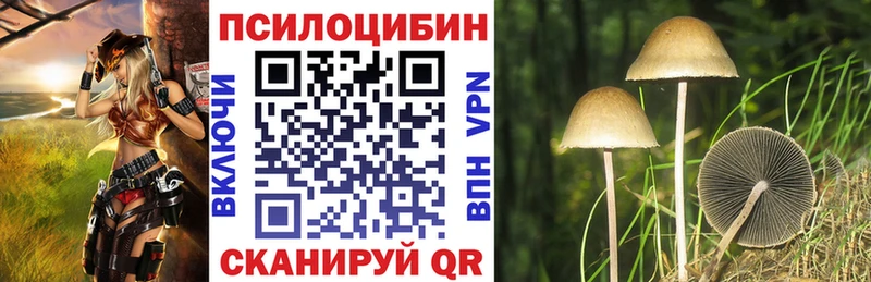 Галлюциногенные грибы мицелий  МЕГА как зайти  Катав-Ивановск  даркнет сайт 